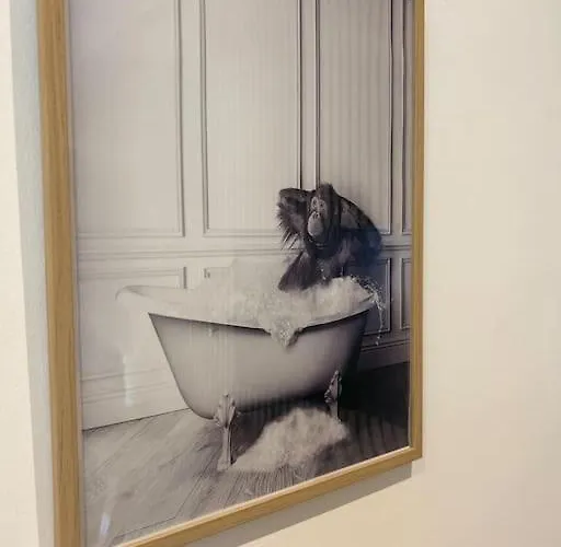 Апартаменты Le Nid Douillet Nanceien Нанси